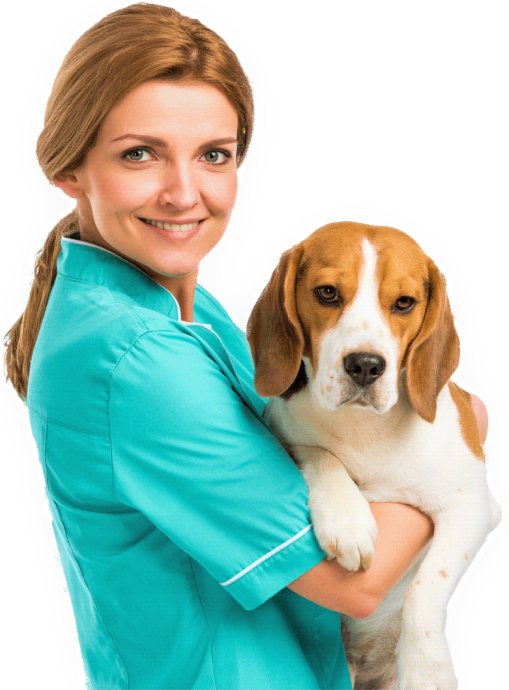 VET PLUS | FULLY EQUIPPED SPECIALITY HOSPITAL